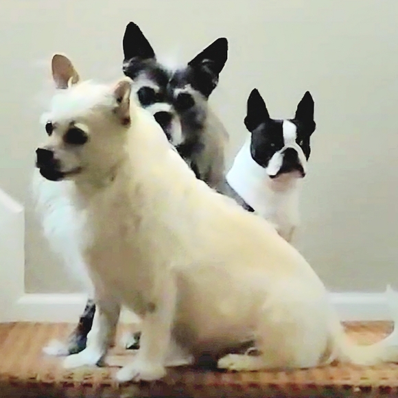 Hello Everyone 🥰💎❤️💖⚘️💍🥂 - Picture 11 of 17